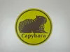 0.2mm layer, 3 walls, 15% infill