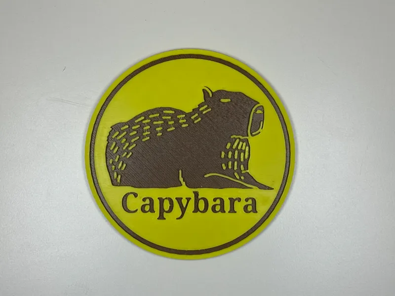 Capybara Coaster