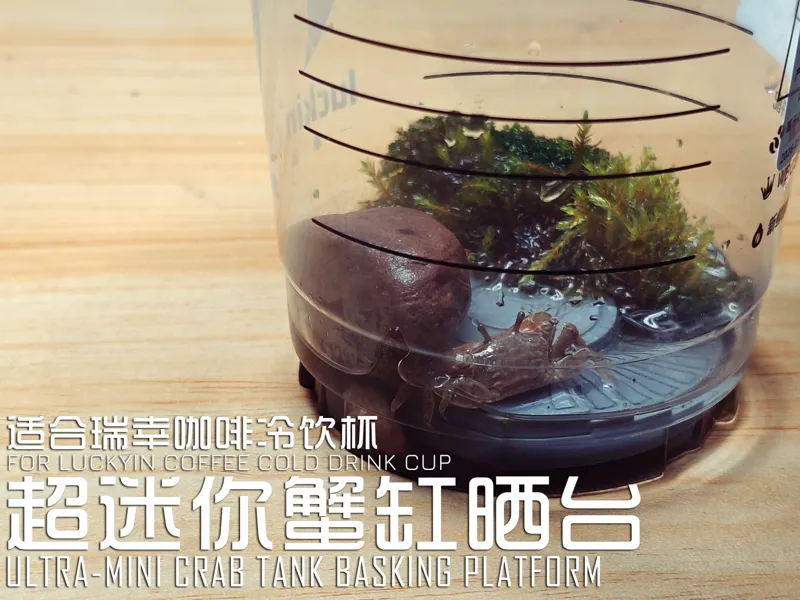 【适合咖啡冷饮杯】圆形超迷你蟹缸晒台（2种尺寸）