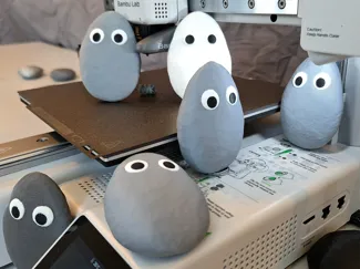 Pet Rock