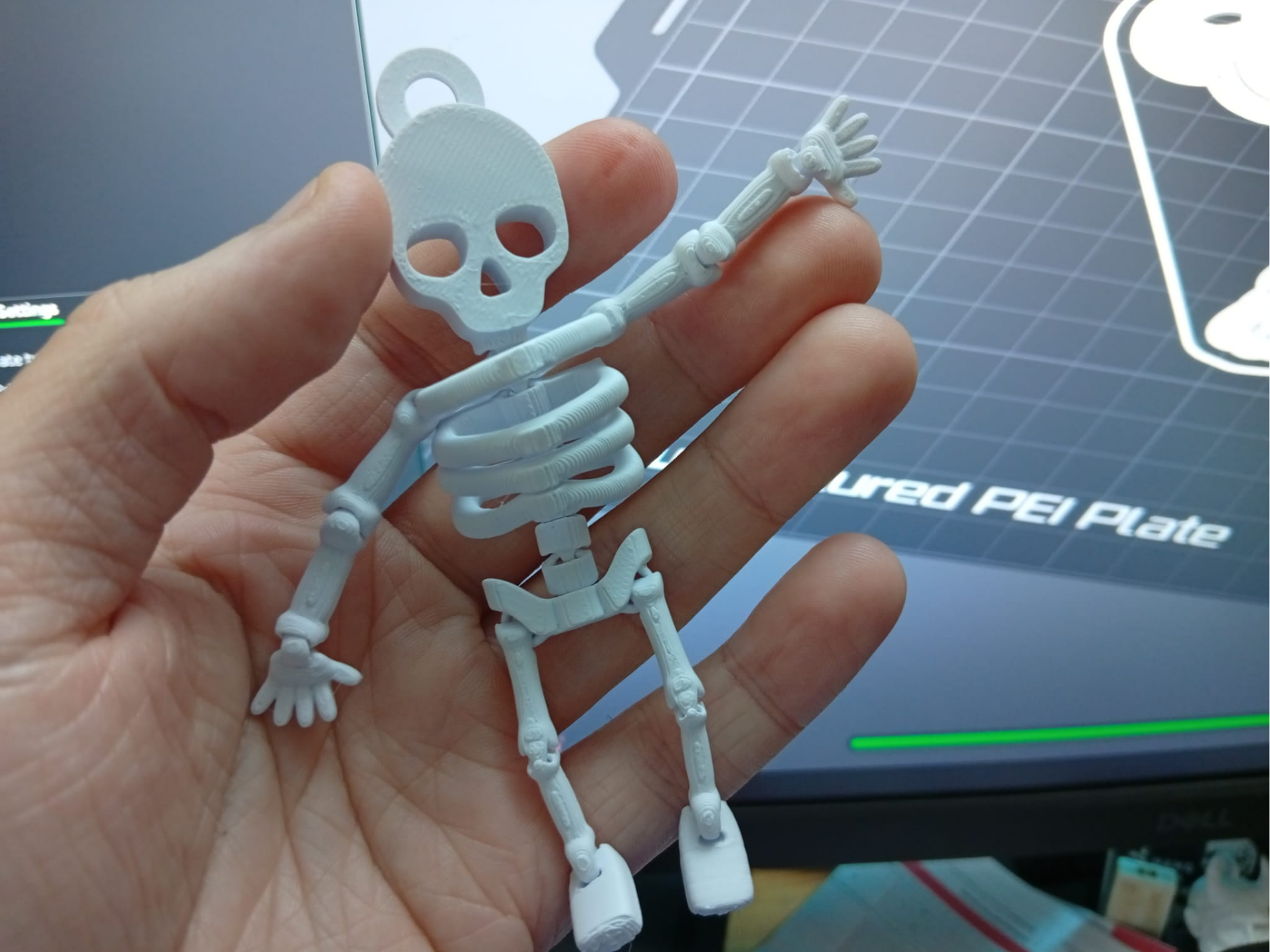 Flexi Skeleton Simple Keychain
