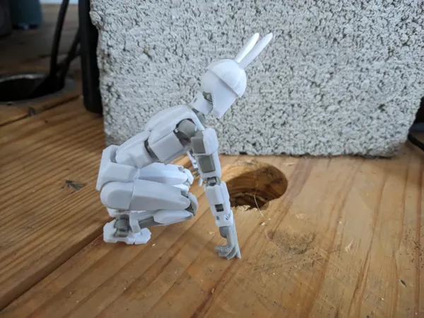 https://makerworld.bblmw.com/makerworld/model/USba9768b856d629/design/2024-03-07_f580a29a385ff.jpg