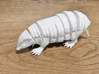 Single Color - 0.2mm layer, 2 walls, 8% infill