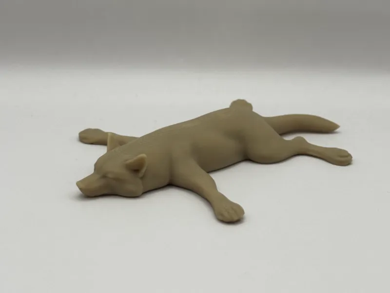Wolf on Stomach