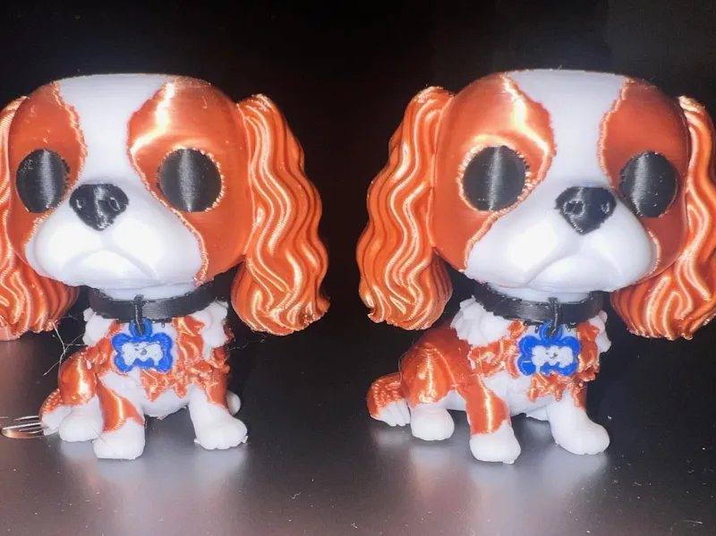 Cavelier King Charles Spaniel