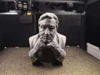 0.2mm layer, 2 walls, 10% infill
