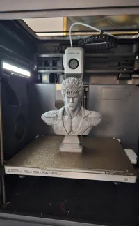 0.16mm layer, 2 walls, 8% infill