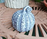 Citrouille décorative romantique — photo 3