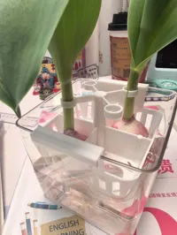 0.2mm 层高, 2 层墙, 15% 填充