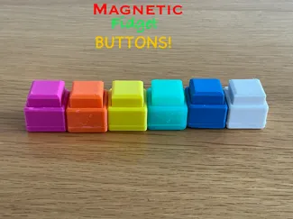 Magnetic Fidget Buttons