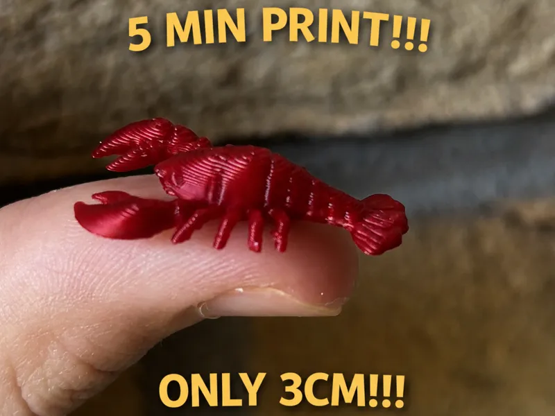 mini lobster