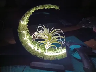 Pflanzen Lampe 