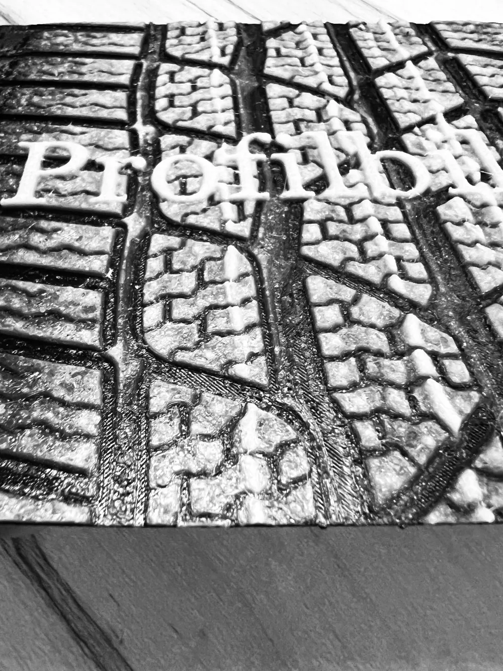 AvatarProfilbildPicture with Haptics by ConnyNRW MakerWorld