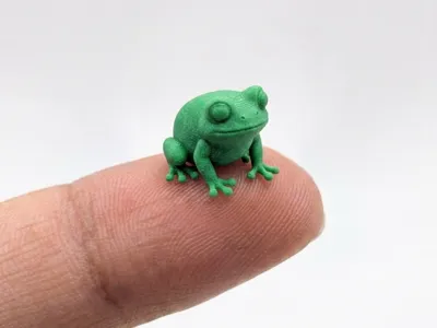 The smallest frog in the world (Nozzle 0.4)