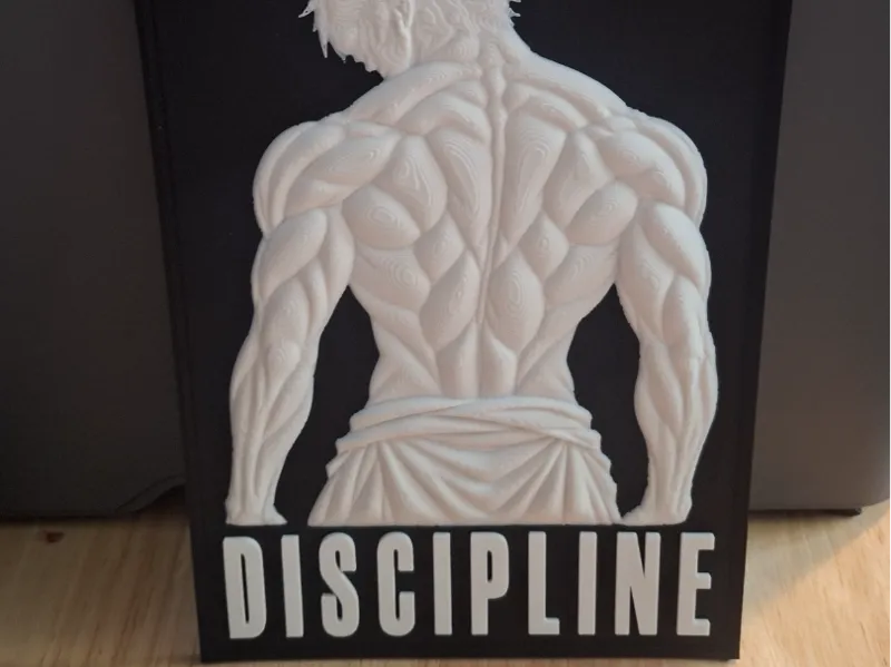Discipline 3D_Wall Relief Sculpture_Gym Art