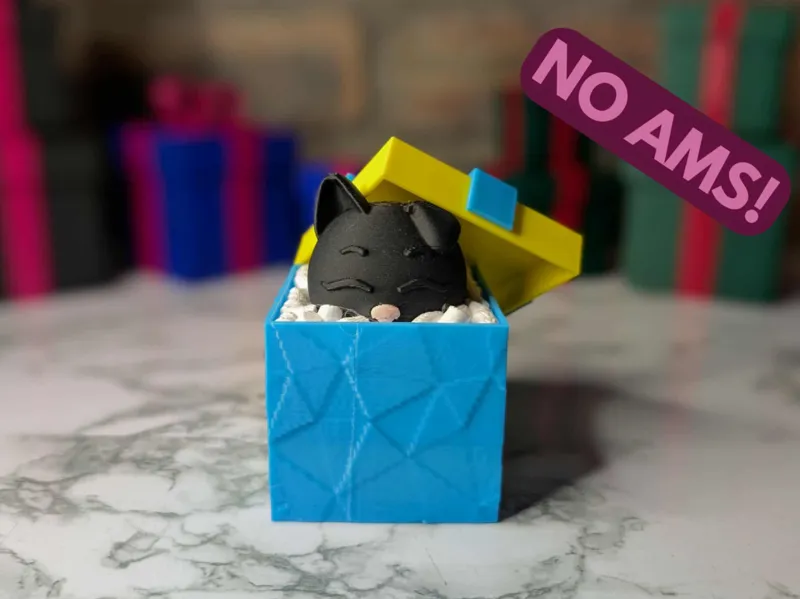 Cat in Christmas Present - No AMS