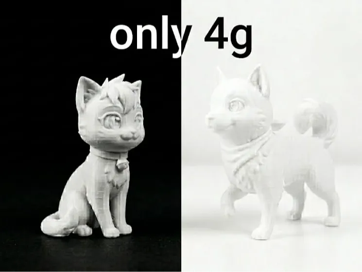 Dog & Cat