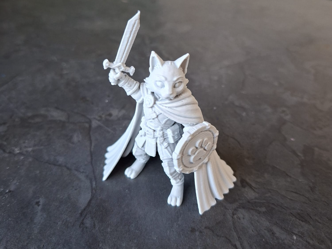 Feline Knight Guardian