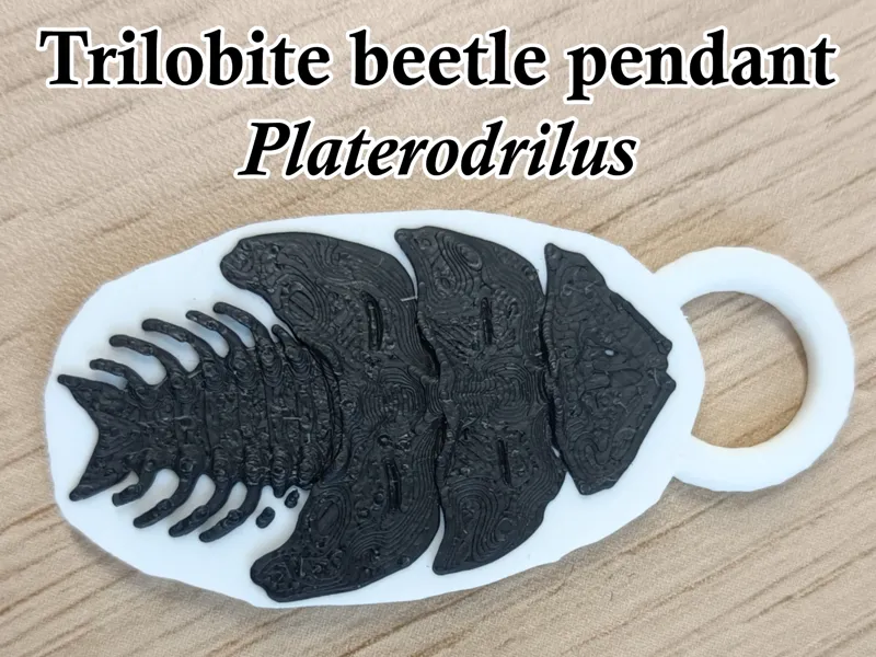 Trilobite beetle pendant Platerodrilus