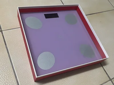 Maopaotang Body Fat Scale FL549 Robot Vacuum Baffle