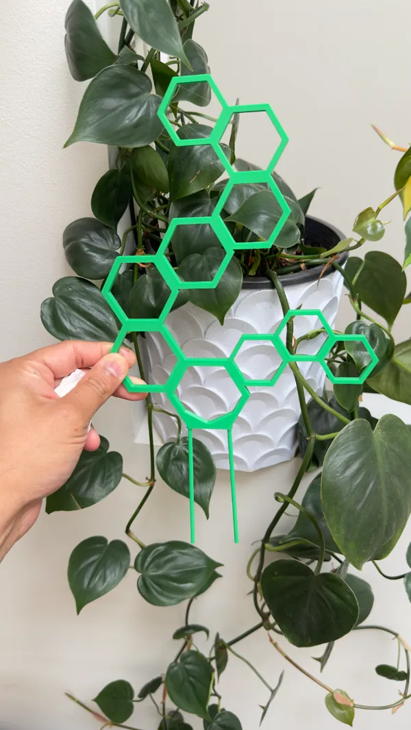 https://makerworld.bblmw.com/makerworld/model/USbac39af8925f12/design/2024-01-12_4b82c991fa66.jpg
