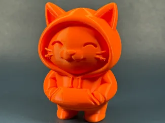 Cute Hoodie Cat