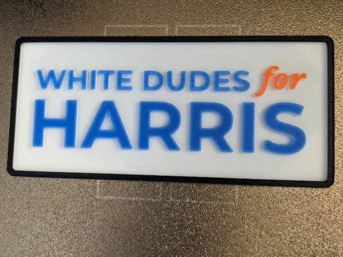 White Dudes For Harris 2024