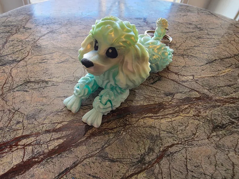 Cute Poodle