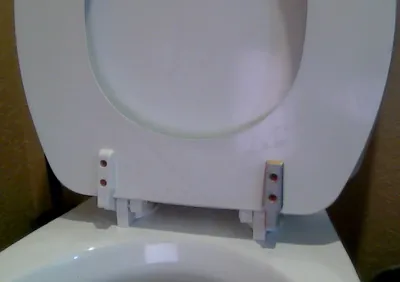 Toilet Seat Hinge, Glacier Bay