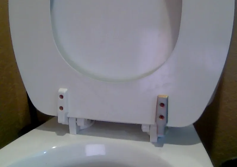 Toilet Seat Hinge, Glacier Bay