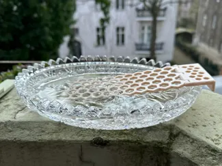 Trinkstation für Insekten, Bienen