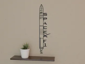 SpaceX Falcon 1 wall art 