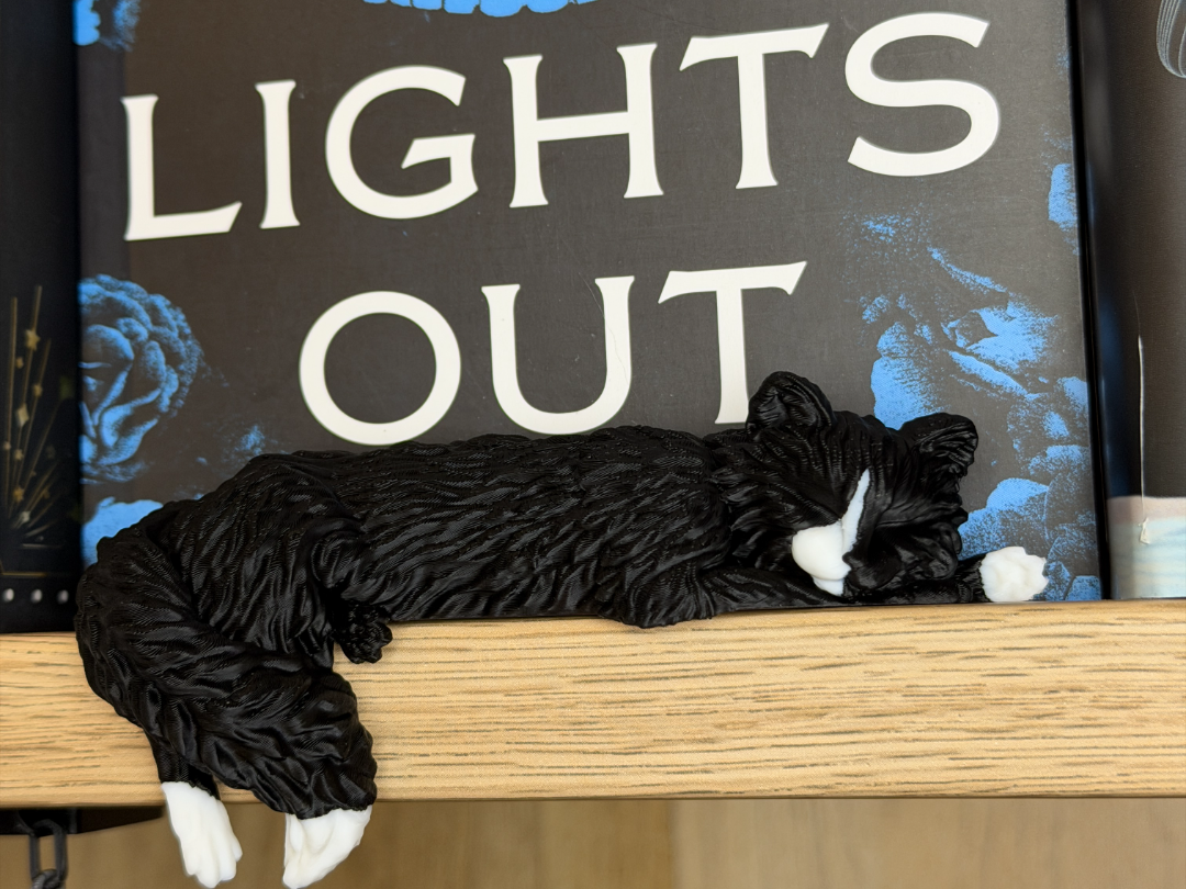 Sleeping Cat on the Shelf