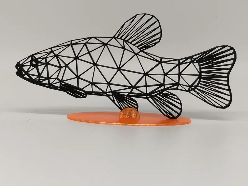 Wandbild Schleie Tinca