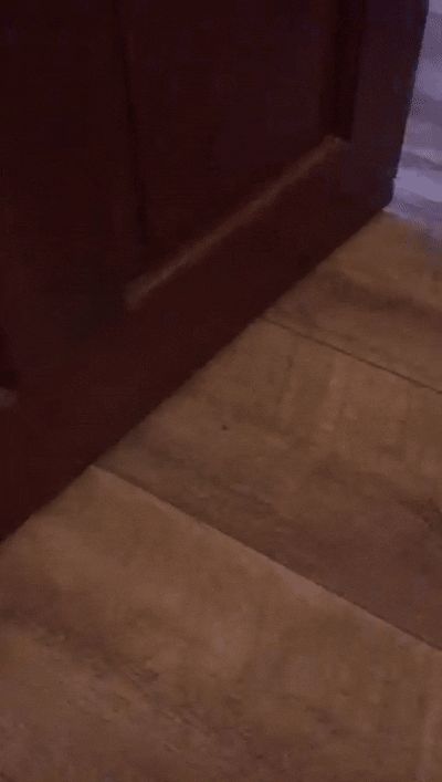 door stop