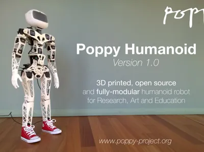 Poppy Humanoid Robot, Professional Dynamixel Line