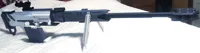 carbine verson(Read description before print!)