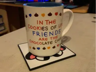 Cow Coaster