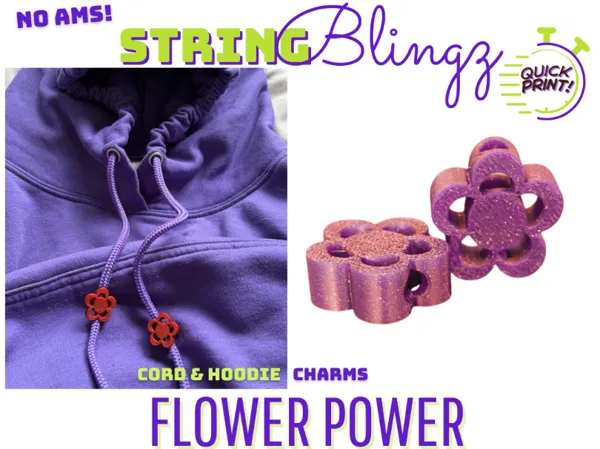 https://makerworld.bblmw.com/makerworld/model/USbad912fc582f09/design/9471d9051aa04cea.png