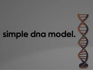 DNA Model for desk