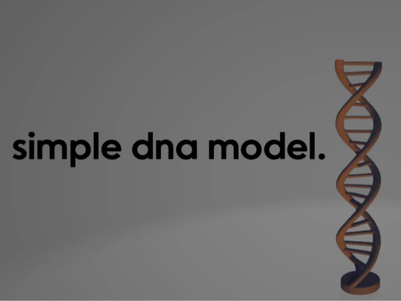 DNA Model for desk