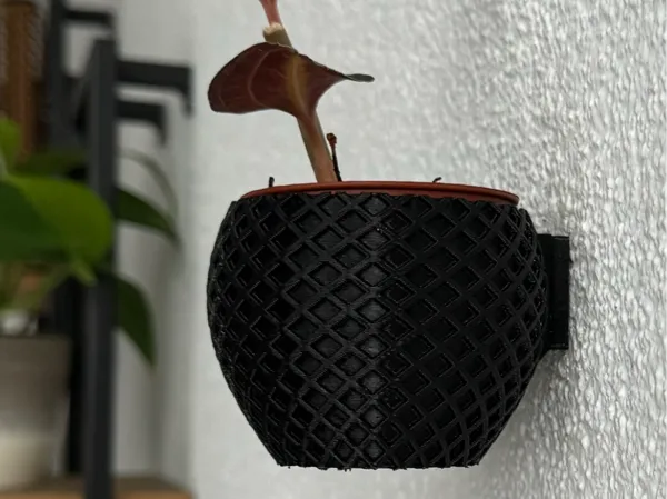 https://makerworld.bblmw.com/makerworld/model/USbadc91e3e9684d/design/2024-07-14_e3dda9f1d85b98.jpg