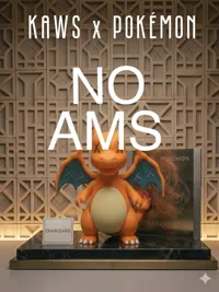 CHARIZARD X KAWS (NO AMS 1 PIATTO)