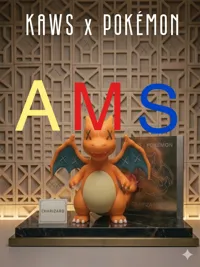CHARIZARD X KAWS (AMS NEED 3 PIATTI)