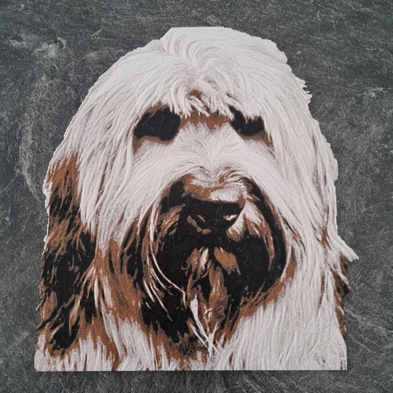 HueForge Dog Briard