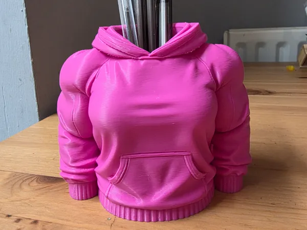 https://makerworld.bblmw.com/makerworld/model/USbaeade27151a55/design/2025-12-23_76d2b62a72fe28.jpg