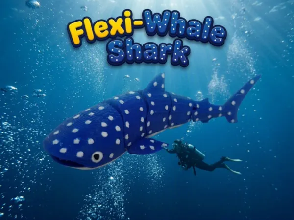 https://makerworld.bblmw.com/makerworld/model/USbaed05d22e183e/design/6cdab44bc6b4cf68.png