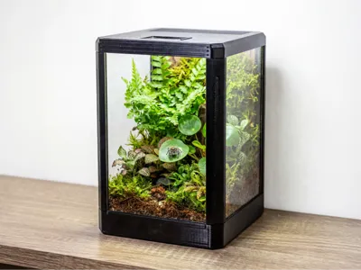 JUMPING SPIDER TERRARIUM MINI