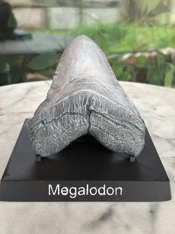 https://makerworld.bblmw.com/makerworld/model/USbb02aa8a1cda34/design/2024-08-02_12892859fb278.jpg