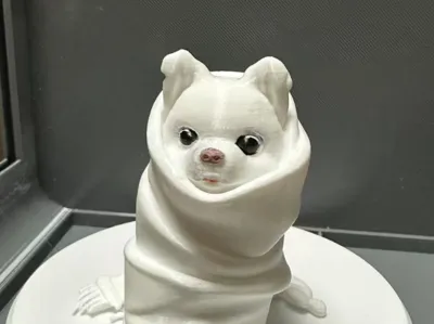 Puppy in a Towel